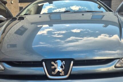 Peugeot 206 221.000 km 1.350 &euro; Nohfelden 66625