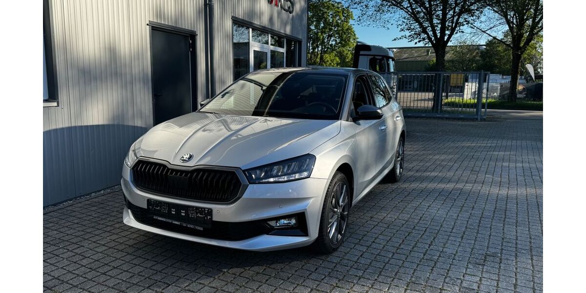 Skoda Fabia 29.850 km 20.000 &euro; Lahr 77933