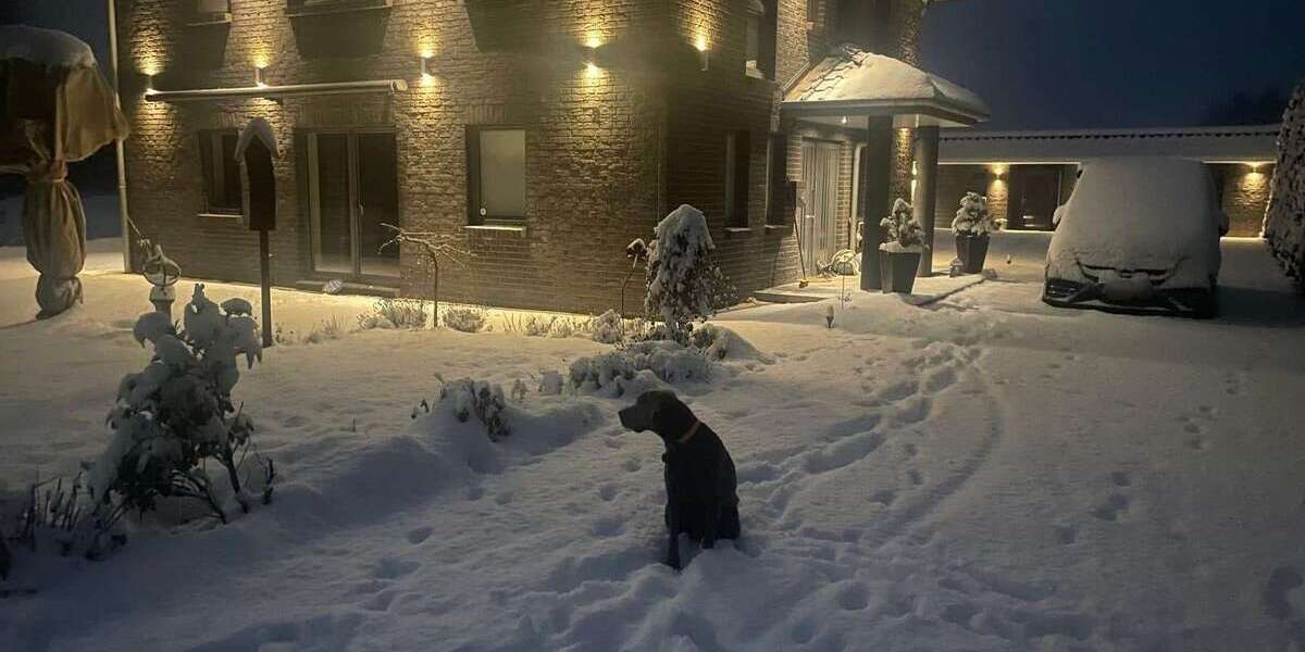 Büro in Stolpe 598.000 € 184.12 m² zimmer