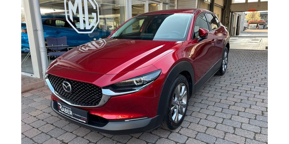 Mazda CX-30 75.550 km 20.790 &euro; Neustadt 67433