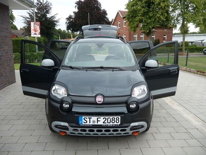 Panda