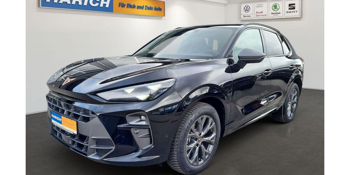 Cupra Terramar 2.501 km 37.690 &euro; Balingen 72336
