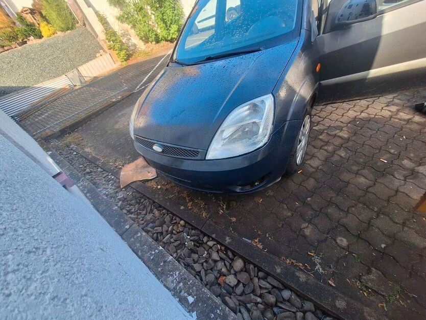 Fiesta