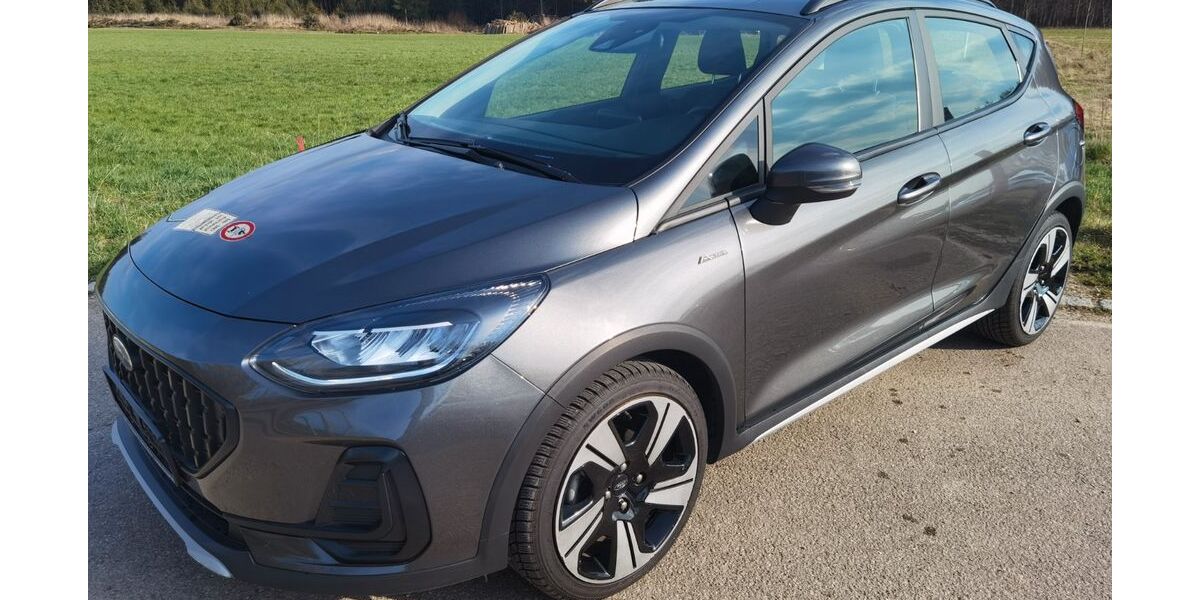 Ford Fiesta 44.862 km 16.280 &euro; Welden 86465
