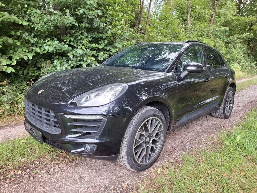 Macan