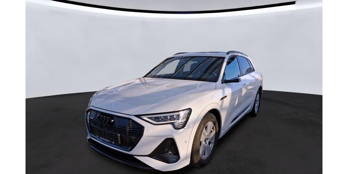 Audi e-tron 53.637 km 39.350 &euro; Hagen 58091