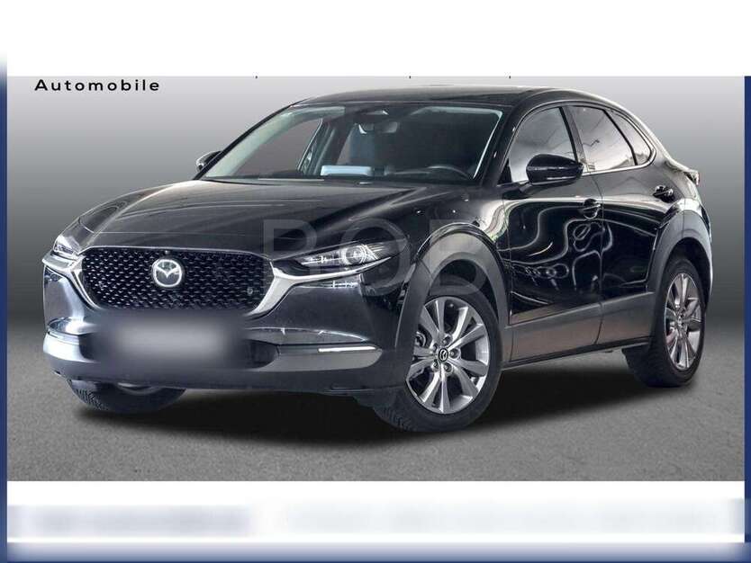CX-30