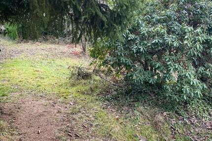 Grundstück Forbach - 82.500&euro; | Angebot:24982868
