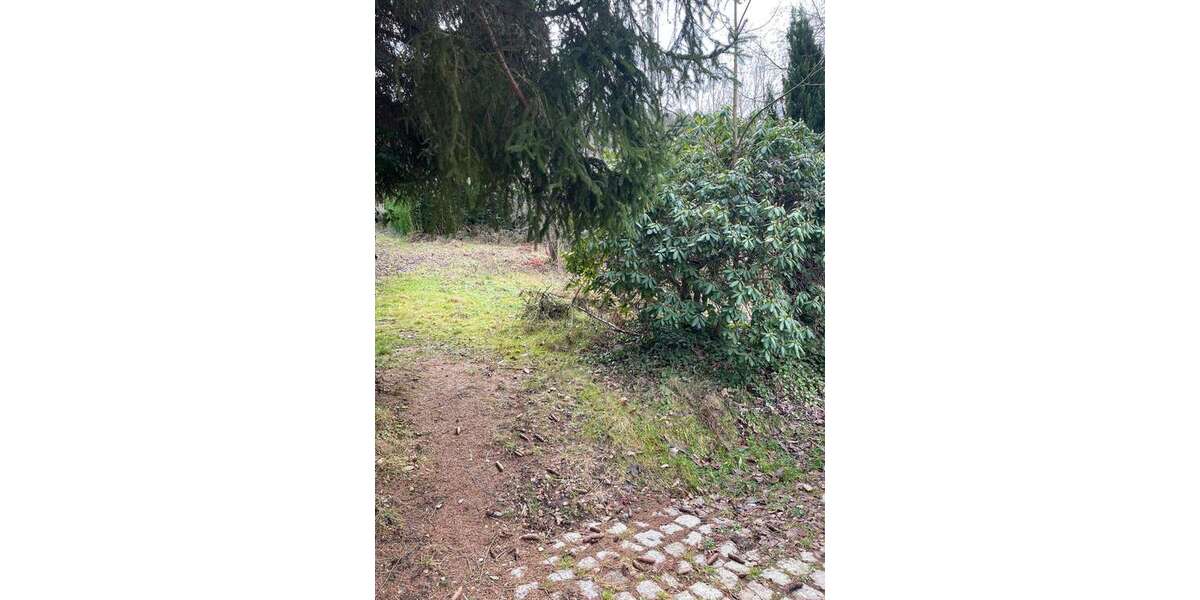 Grundstück Forbach - 82.500&euro; | Angebot:24982868