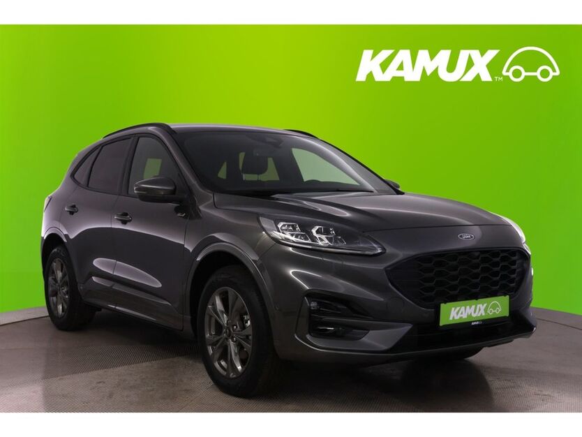 Kuga