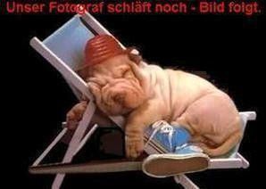 Audi A5 106.820 km 17.300 &euro; Pflaumdorf 86926