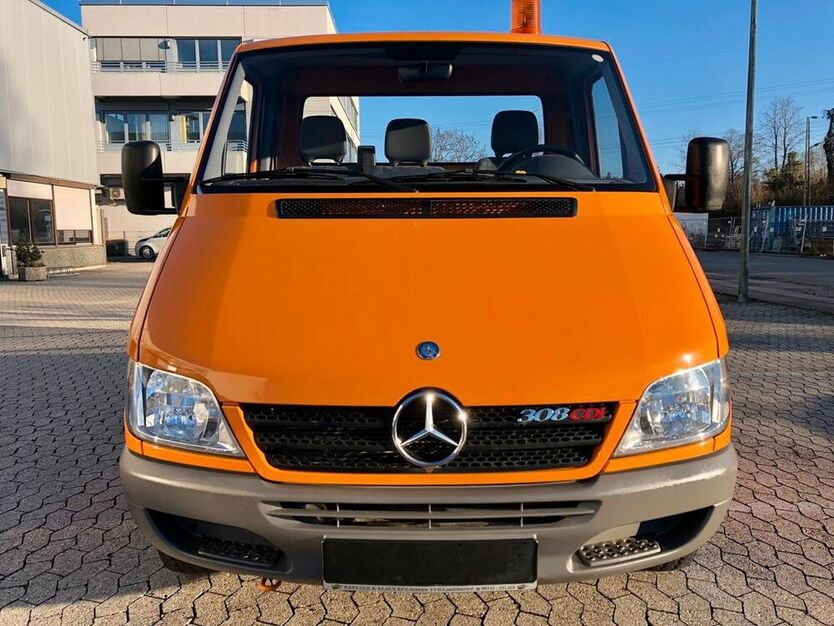 Sprinter