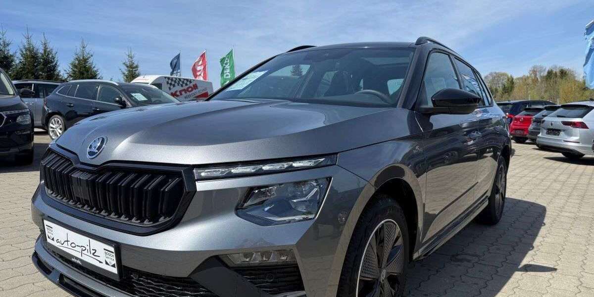 Skoda Kamiq 2.737 km 24.990 &euro; Thermalbad Wiesenbad 09488