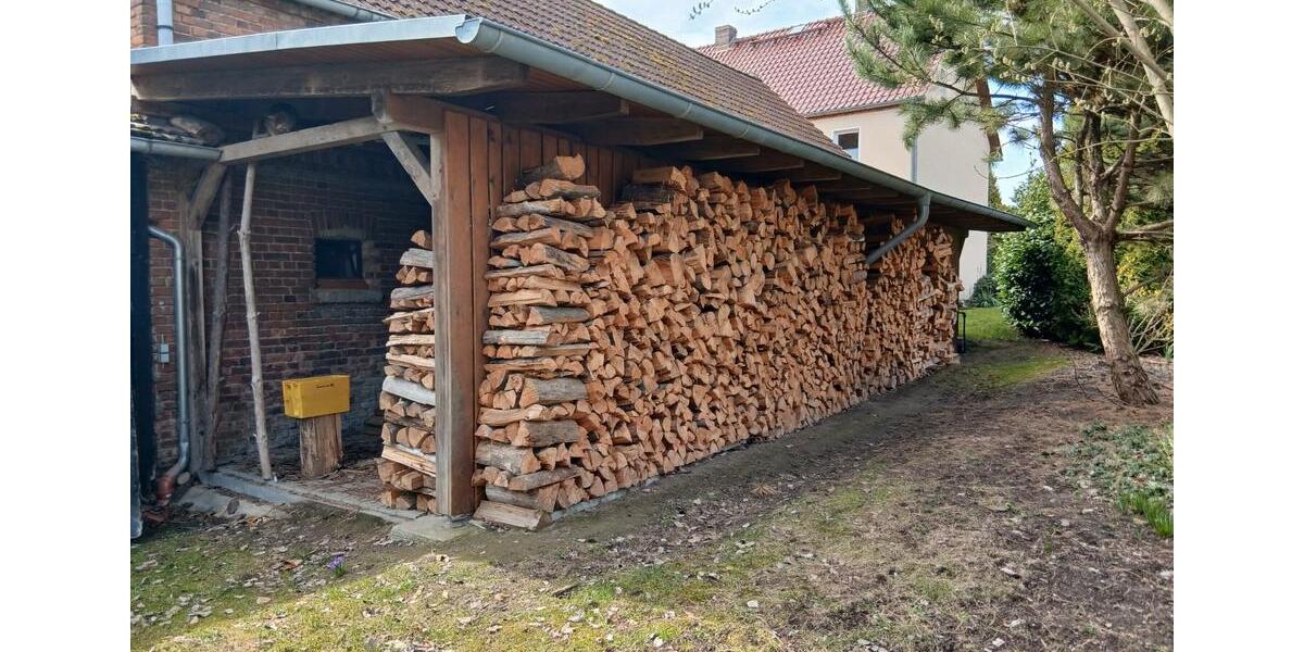 Einfamilienhaus Bad Belzig - 13 Zimmer, 260 m&sup2;, 495.000&euro; | Angebot:26336365