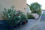 Einfamilienhaus Traben-Trarbach Trarbach - 349.000&euro; | Angebot:27054190