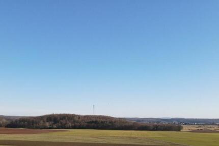 Wohnung Hungen - 1 Zimmer, 42 m&sup2;, 400&euro; | Angebot:25233657