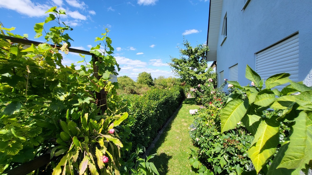 moderne DHH mit Einliegerwohnung im 