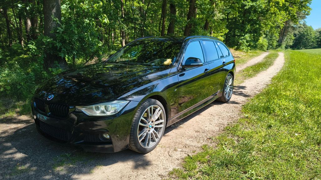 BMW 318 172.500 km 13.900 &euro; Struppen 01796