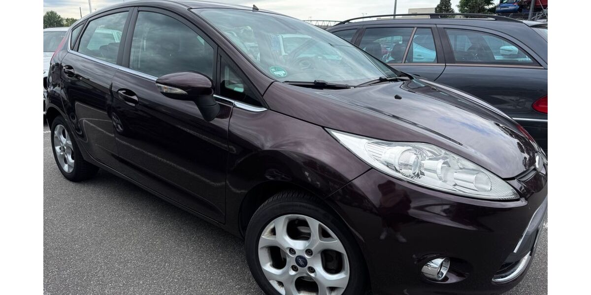 Ford Fiesta 186.000 km 3.100 &euro; Hockenheim 68766