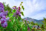 Mehrfamilienhaus, Wohnhaus Bad Reichenhall Karlstein - 6 Zimmer, 170 m&sup2;, 590.000&euro; | Angebot:26402021