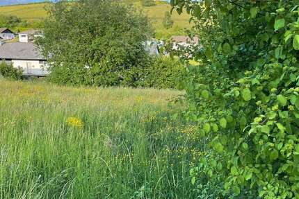 Grundstück zu verkaufen in Burbach 50.000 € 1100 m² zimmer
