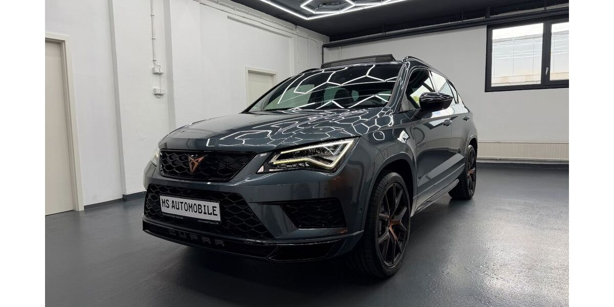 Cupra Ateca 89.000 km 24.990 &euro; Göppingen 73037
