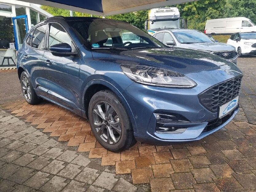 Kuga