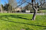Grundstück Königshain-Wiederau Königshain - 40.000&euro; | Angebot:25693726