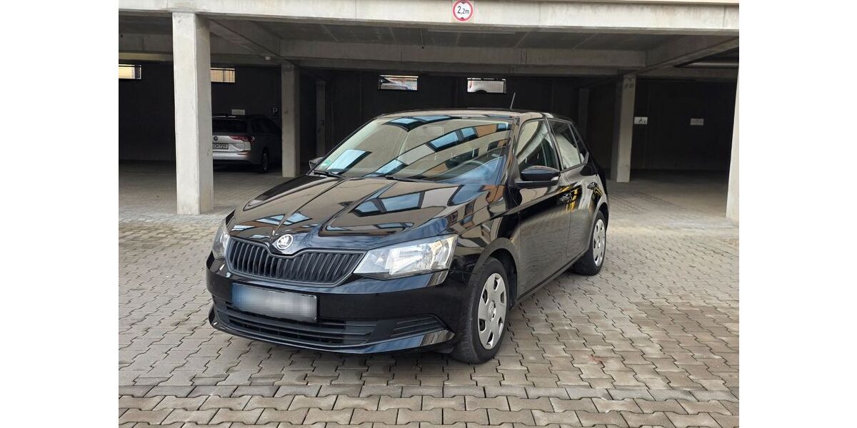 Skoda Fabia 187.000 km 6.000 &euro; Zwickau 08056