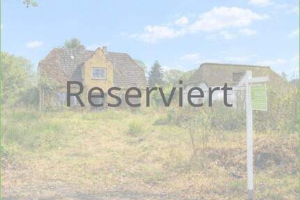 Eingewachsenes Grundstück in Treene Nähe*** zimmer