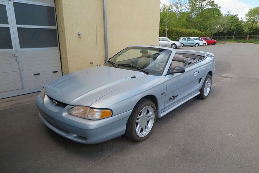 Mustang