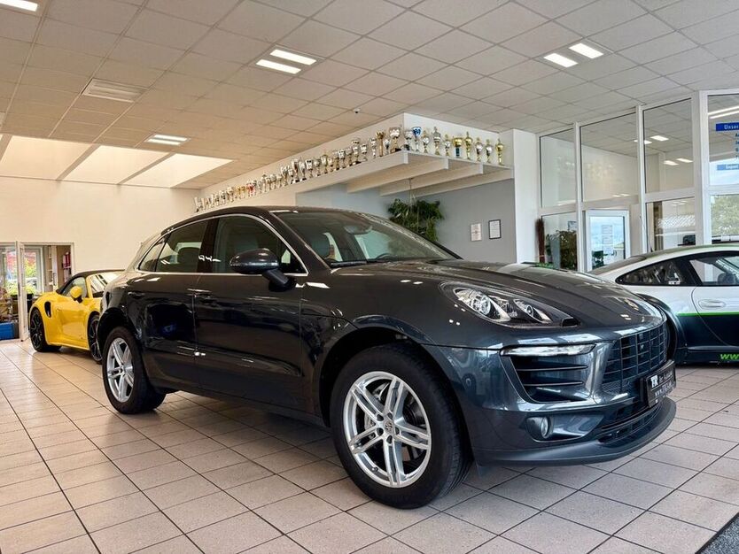 Macan