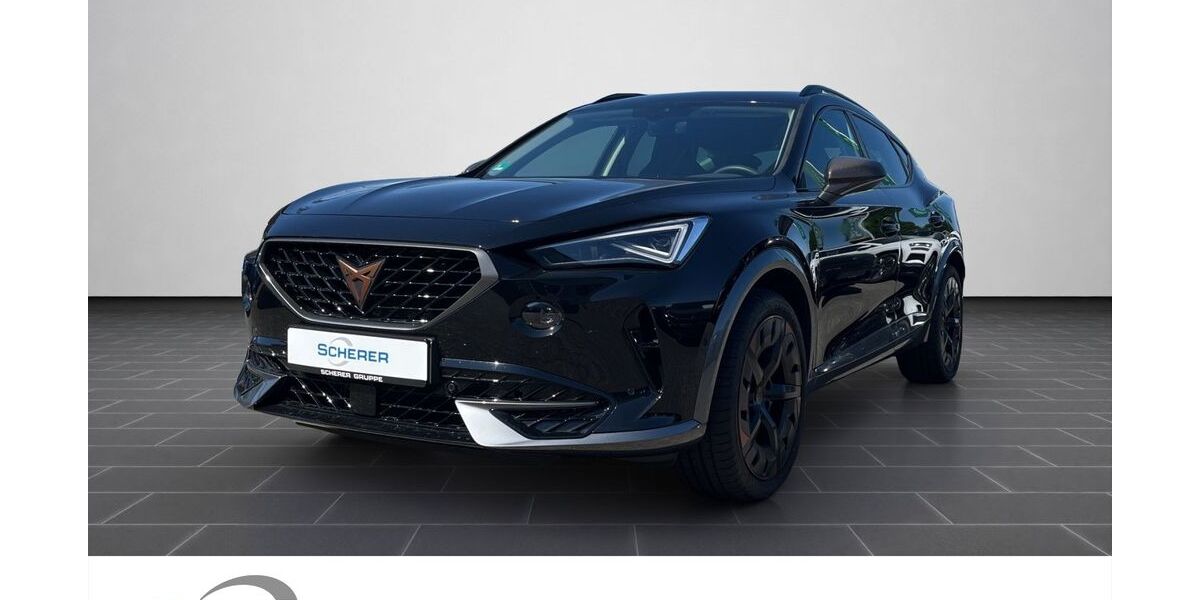 Cupra Formentor 20.143 km 25.380 &euro; Mainz 55129