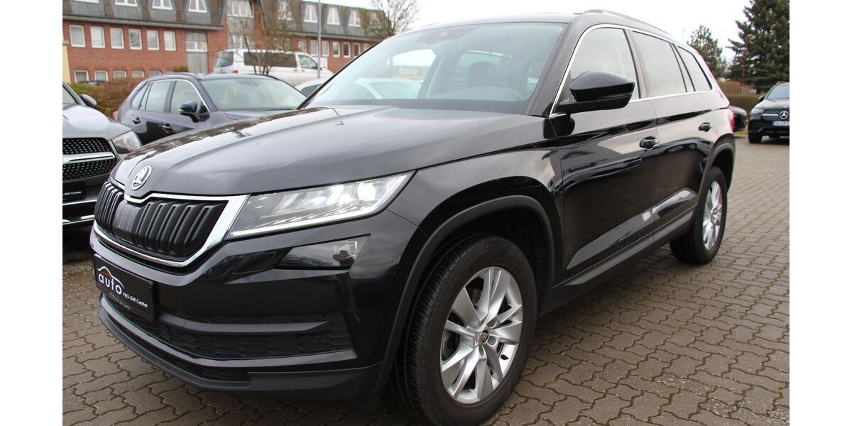 Skoda Kodiaq 135.231 km 26.300 &euro; Pampow 19075