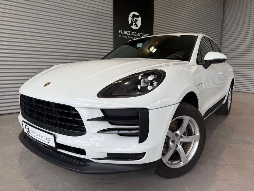 Macan