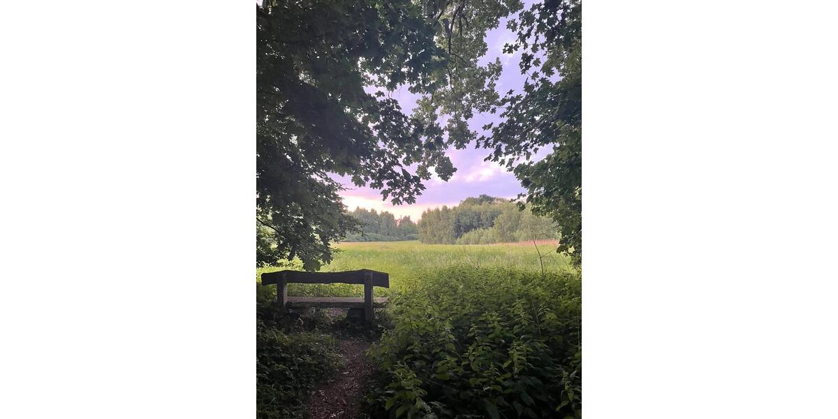 Einfamilienhaus Schwerin Friedrichsthal - 3 Zimmer, 100 m&sup2;, 1.400&euro; | Angebot:25178235