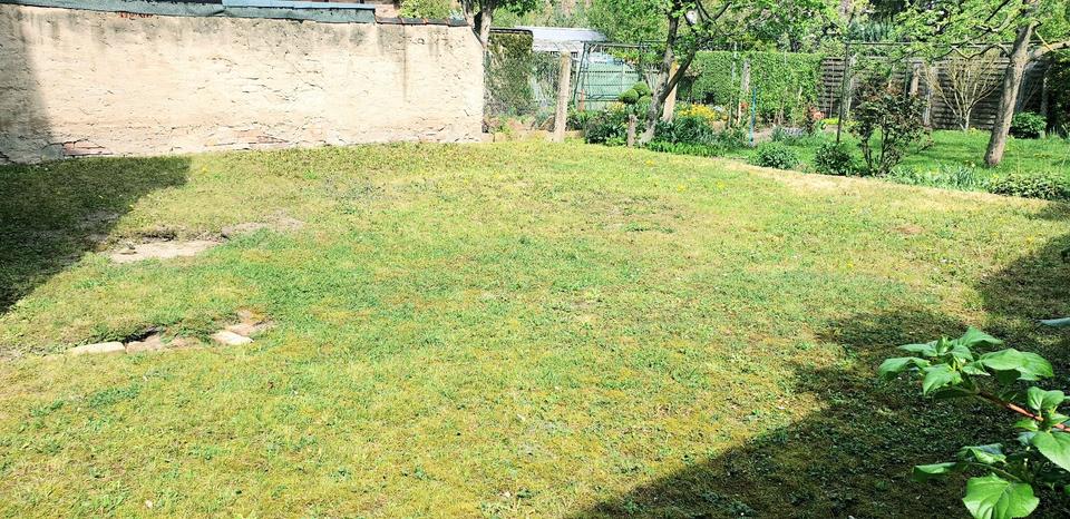 Etagenwohnung Sangerhausen - 1 Zimmer, 43 m&sup2;, 230&euro; | Angebot:26260689