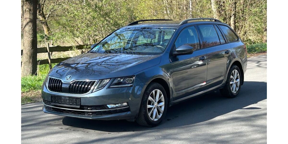Skoda Octavia 141.000 km 12.800 &euro; Burgdorf (bei Hannover) 31303