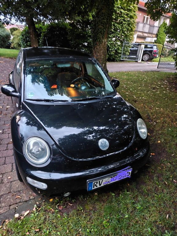 Beetle