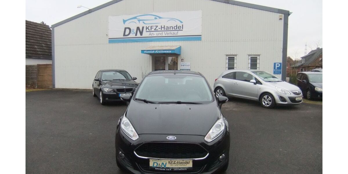 Ford Fiesta 29.000 km 8.790 &euro; Metelen 48629