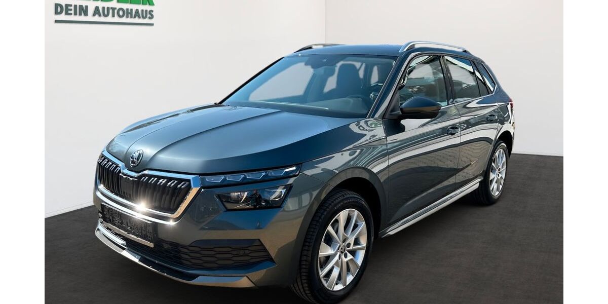 Skoda Kamiq 56.350 km 18.750 &euro; Mylau 08499