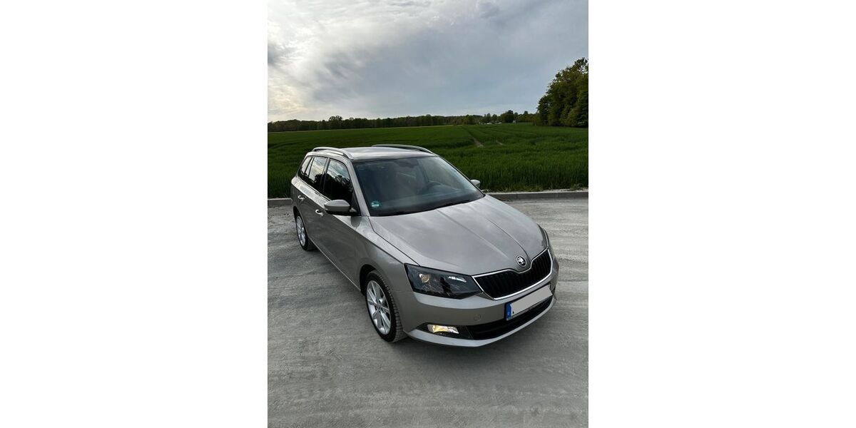 Skoda Fabia 190.800 km 6.900 &euro; Schlangen 33189