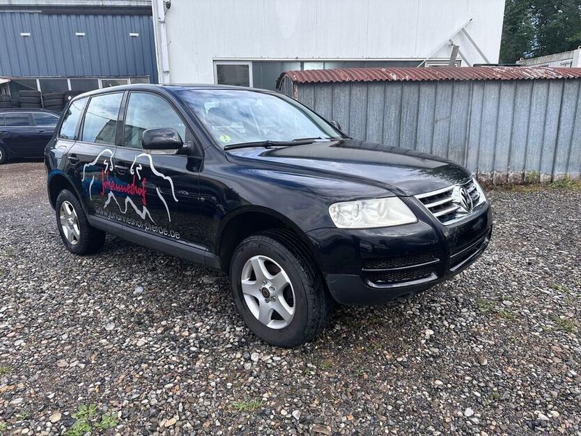 Touareg