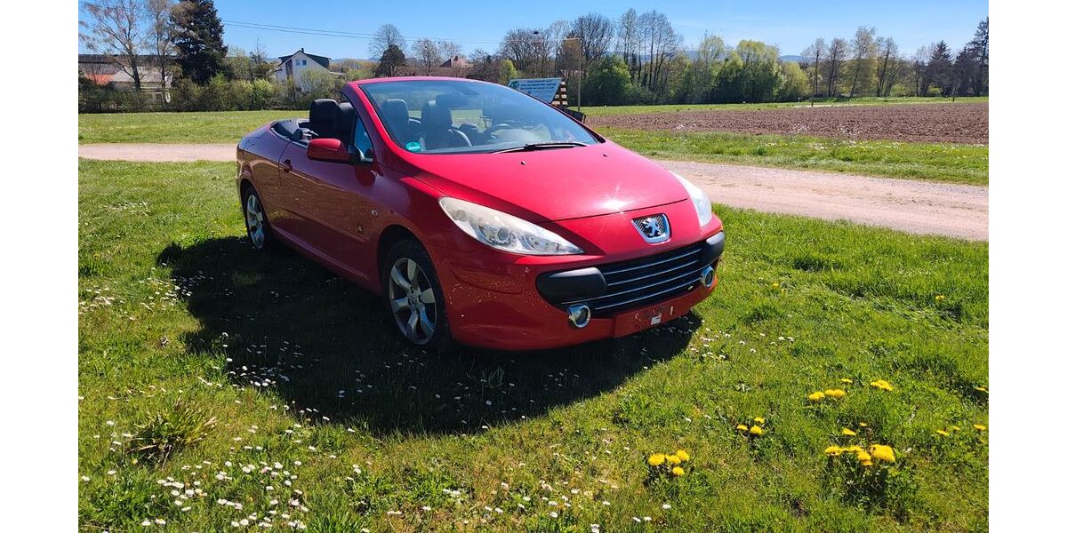 Peugeot 307 183.300 km 2.399 &euro; Bühl 77815