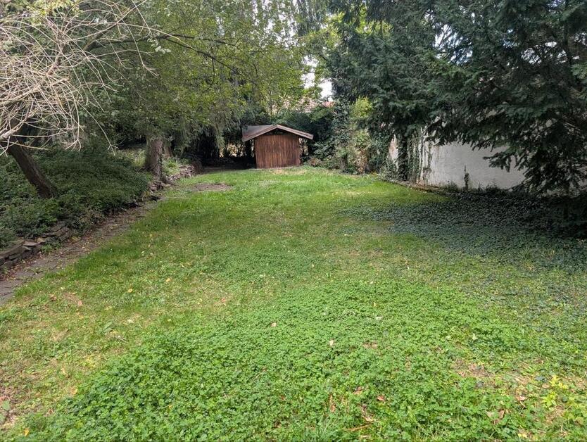 Wohnung 3 Zimmer mit Garten zimmer