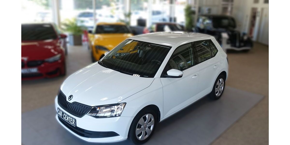Skoda Fabia 93.602 km 8.350 &euro; Stralsund 18435