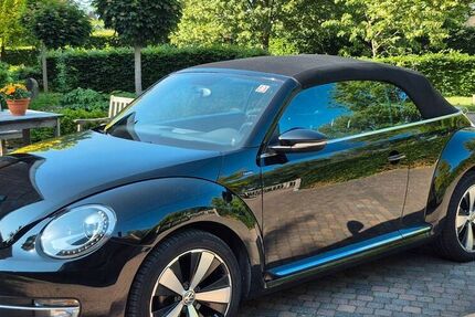 VW Beetle