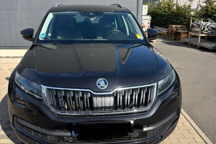 Skoda Kodiaq 172.500 km 16.500 € Schellerten 31174