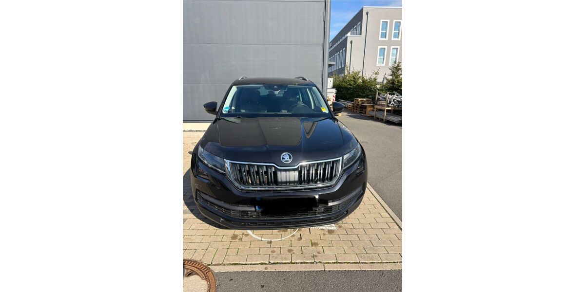 Skoda Kodiaq 172.500 km 16.500 € Schellerten 31174
