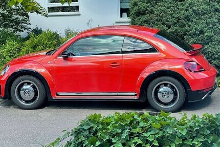 VW Beetle